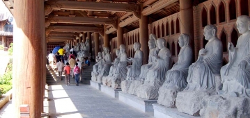 HOA LU - TAM COC - BAI DINH - TRANG AN